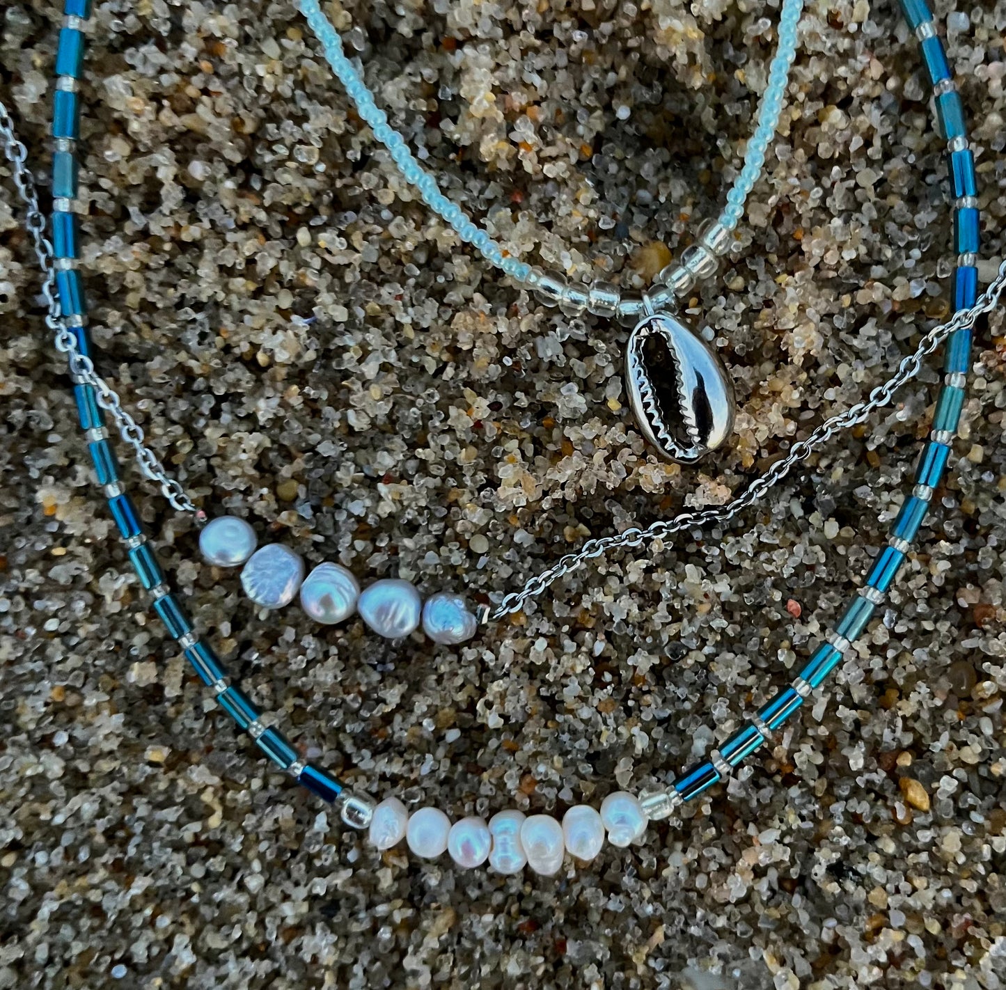 Blue and Silver cowrie