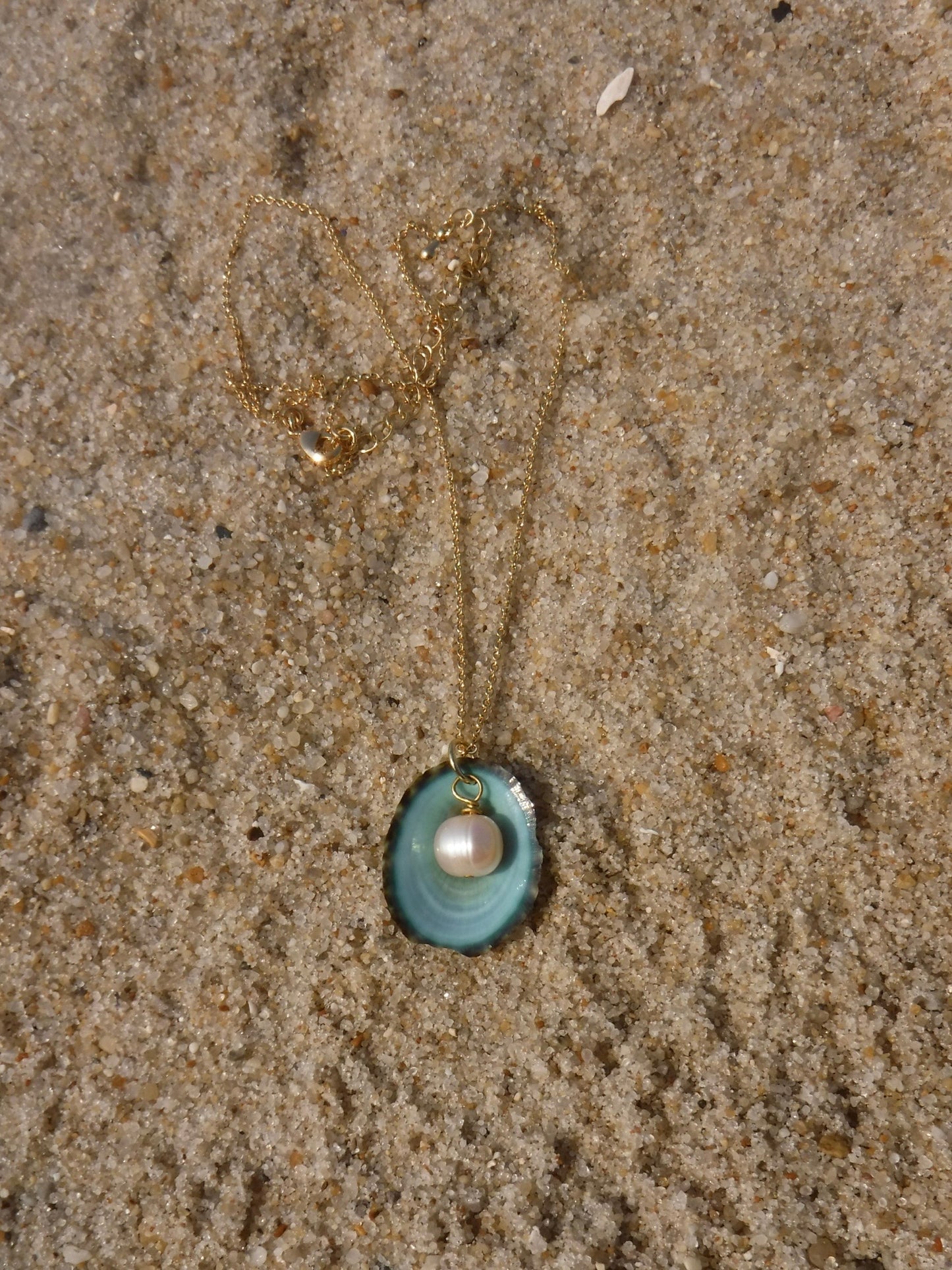 Limpet
