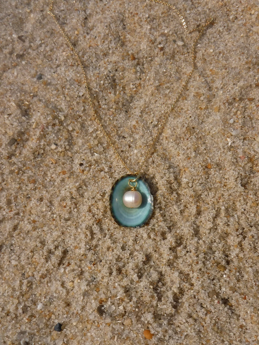 Limpet