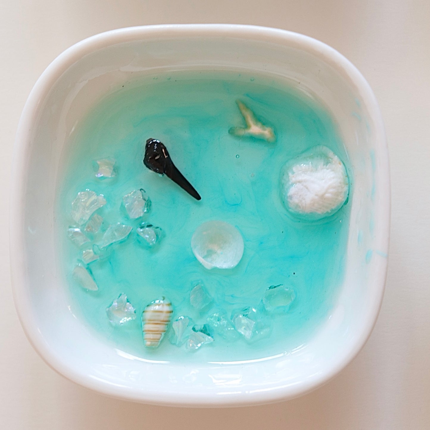 Teal & Shark Tooth - Jewelry Trinket Dish